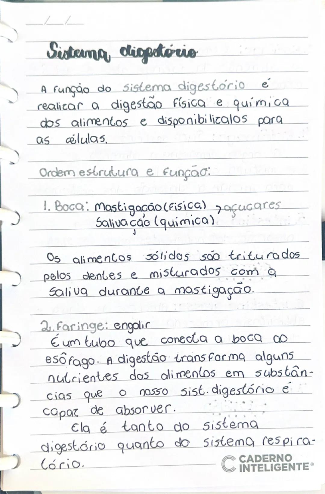 # Sistema digestório

A função do sistema digestório é realizar a digestão física e química dos alimentos e disponibilizá-los para as célula