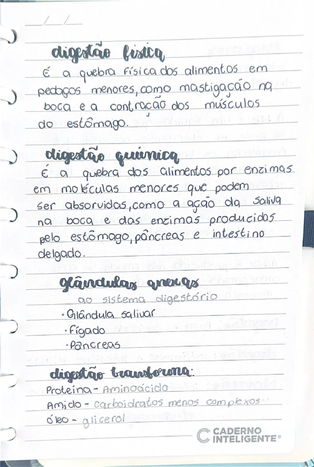 # Sistema digestório

A função do sistema digestório é realizar a digestão física e química dos alimentos e disponibilizá-los para as célula