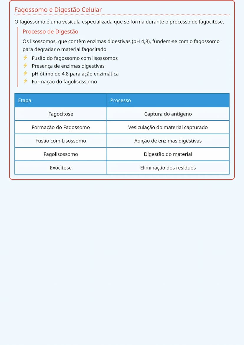 # Sistema Imunológico

# Visão Geral do Sistema Imunológico
O sistema imunológico é um complexo conjunto de processos químicos e celulares q