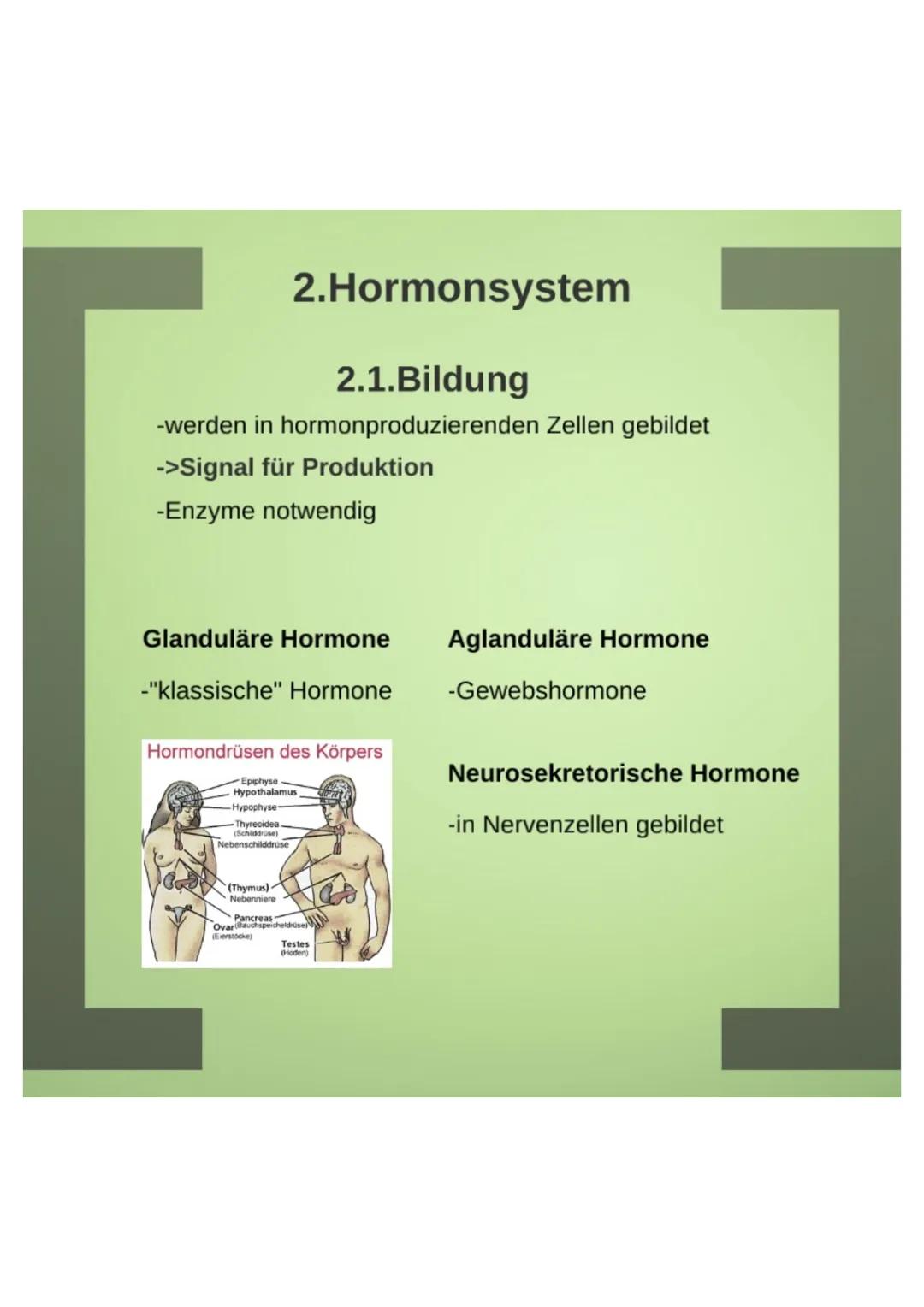 1.Hormone

1.1.Definition
-chemische Signal- und Botenstoffe
-übermitteln Informationen und
regeln wichtige Vorgänge

1.2.Klassifizierung
-U