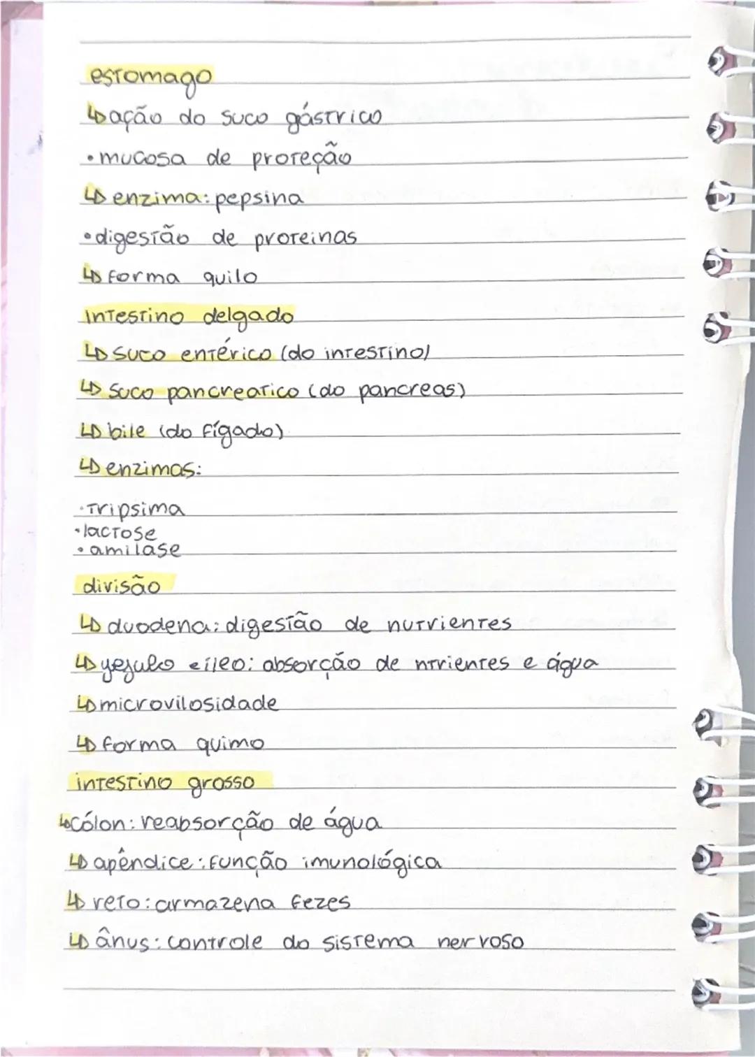 # Sistema digestório

Função: transformar macromoléculas em micromoléculas
etapas:
- ingestão
- digestão
- absorção
- egestão

boca:
- masti