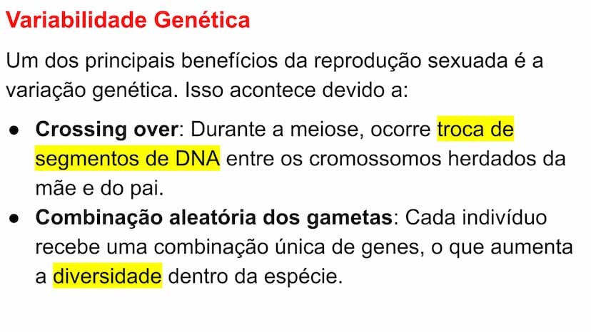 --- OCR Start ---
Variabilidade genética ao
longo das gerações
Fazendo uma comparação com o
parentesco humano, podemos dizer que:
•
Um indiv