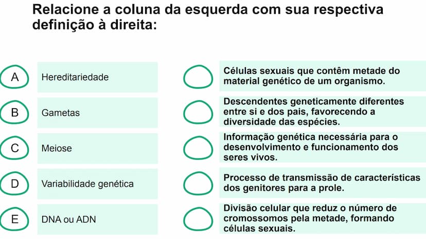 --- OCR Start ---
Variabilidade genética ao
longo das gerações
Fazendo uma comparação com o
parentesco humano, podemos dizer que:
•
Um indiv
