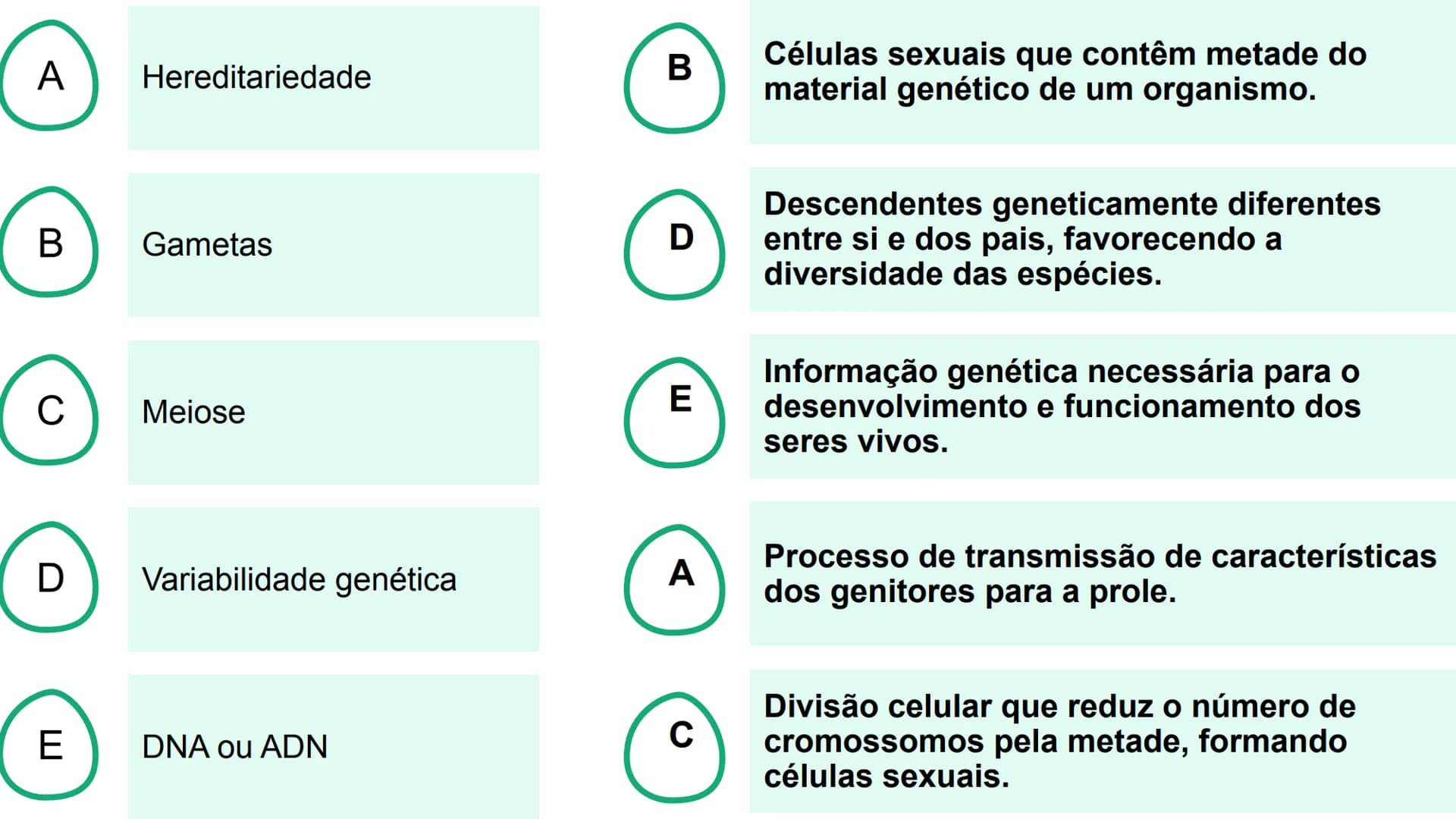 --- OCR Start ---
Variabilidade genética ao
longo das gerações
Fazendo uma comparação com o
parentesco humano, podemos dizer que:
•
Um indiv