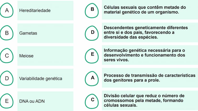 --- OCR Start ---
Variabilidade genética ao
longo das gerações
Fazendo uma comparação com o
parentesco humano, podemos dizer que:
•
Um indiv