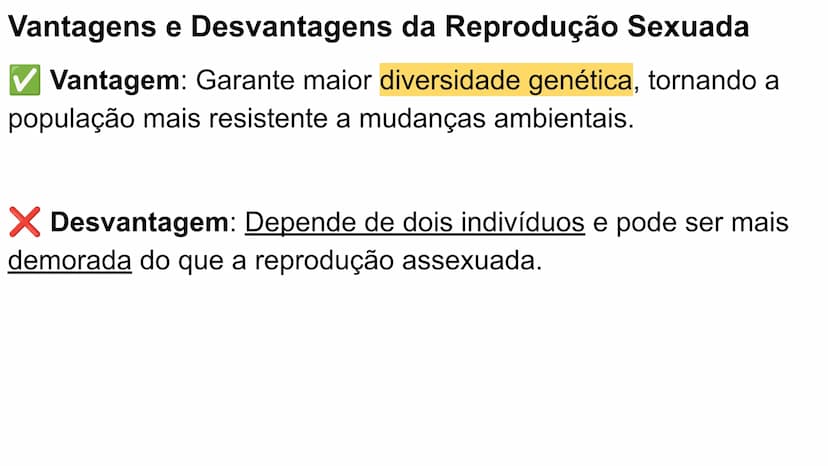 --- OCR Start ---
Variabilidade genética ao
longo das gerações
Fazendo uma comparação com o
parentesco humano, podemos dizer que:
•
Um indiv