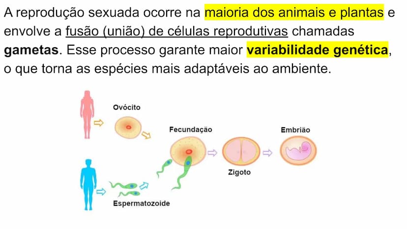 --- OCR Start ---
Variabilidade genética ao
longo das gerações
Fazendo uma comparação com o
parentesco humano, podemos dizer que:
•
Um indiv