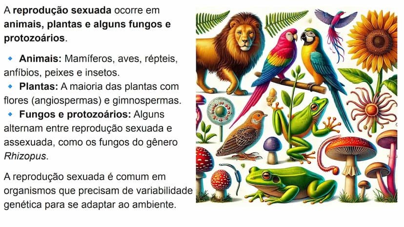 --- OCR Start ---
Variabilidade genética ao
longo das gerações
Fazendo uma comparação com o
parentesco humano, podemos dizer que:
•
Um indiv