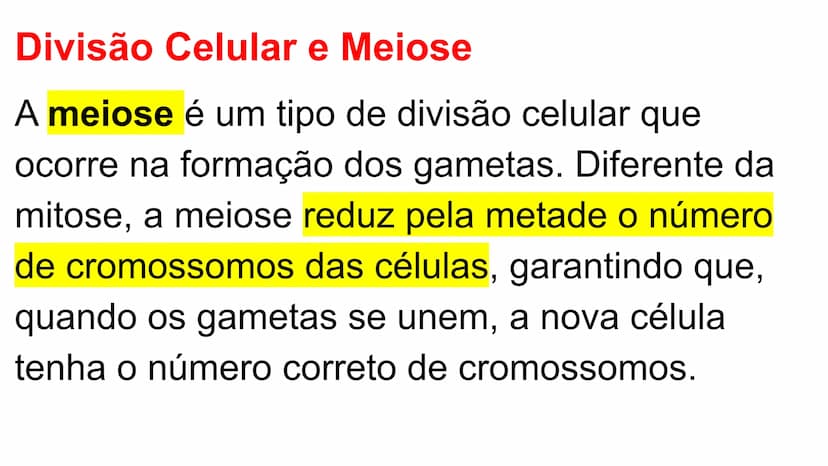 --- OCR Start ---
Variabilidade genética ao
longo das gerações
Fazendo uma comparação com o
parentesco humano, podemos dizer que:
•
Um indiv