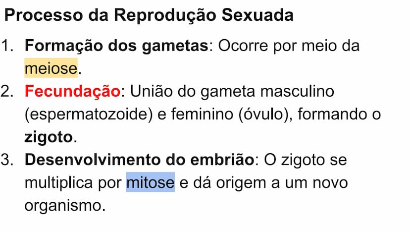 --- OCR Start ---
Variabilidade genética ao
longo das gerações
Fazendo uma comparação com o
parentesco humano, podemos dizer que:
•
Um indiv
