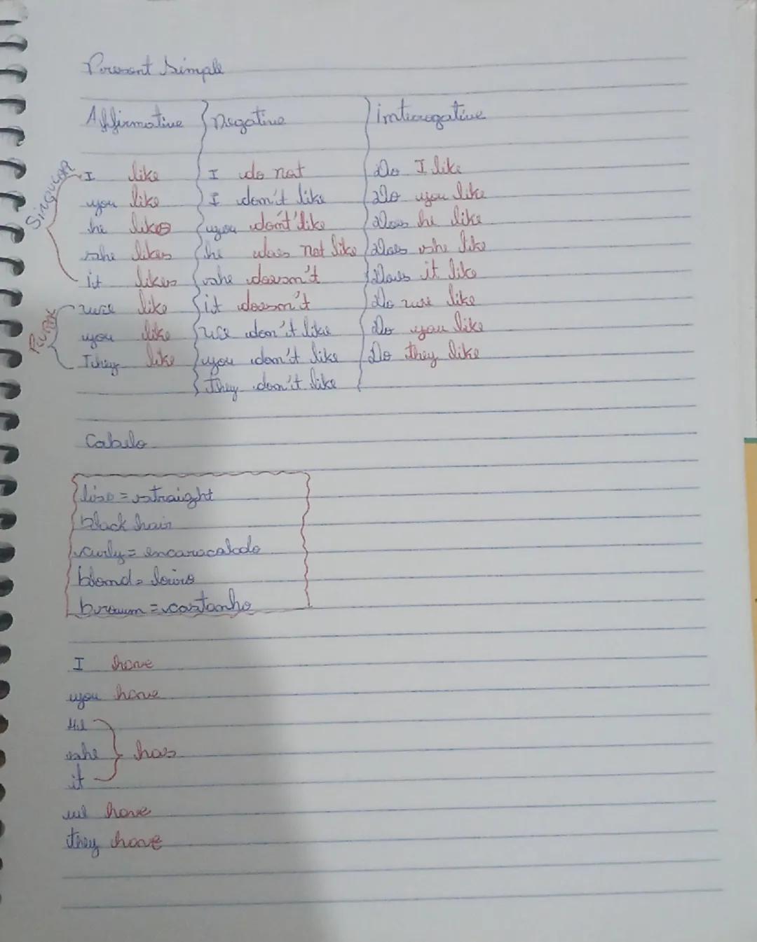 SINGULAR
Poresent Simple
Affirmative negative
imticrogative
I
like
I do not
Do I like
I don't like
200 you like
you
dles he like
you like
th