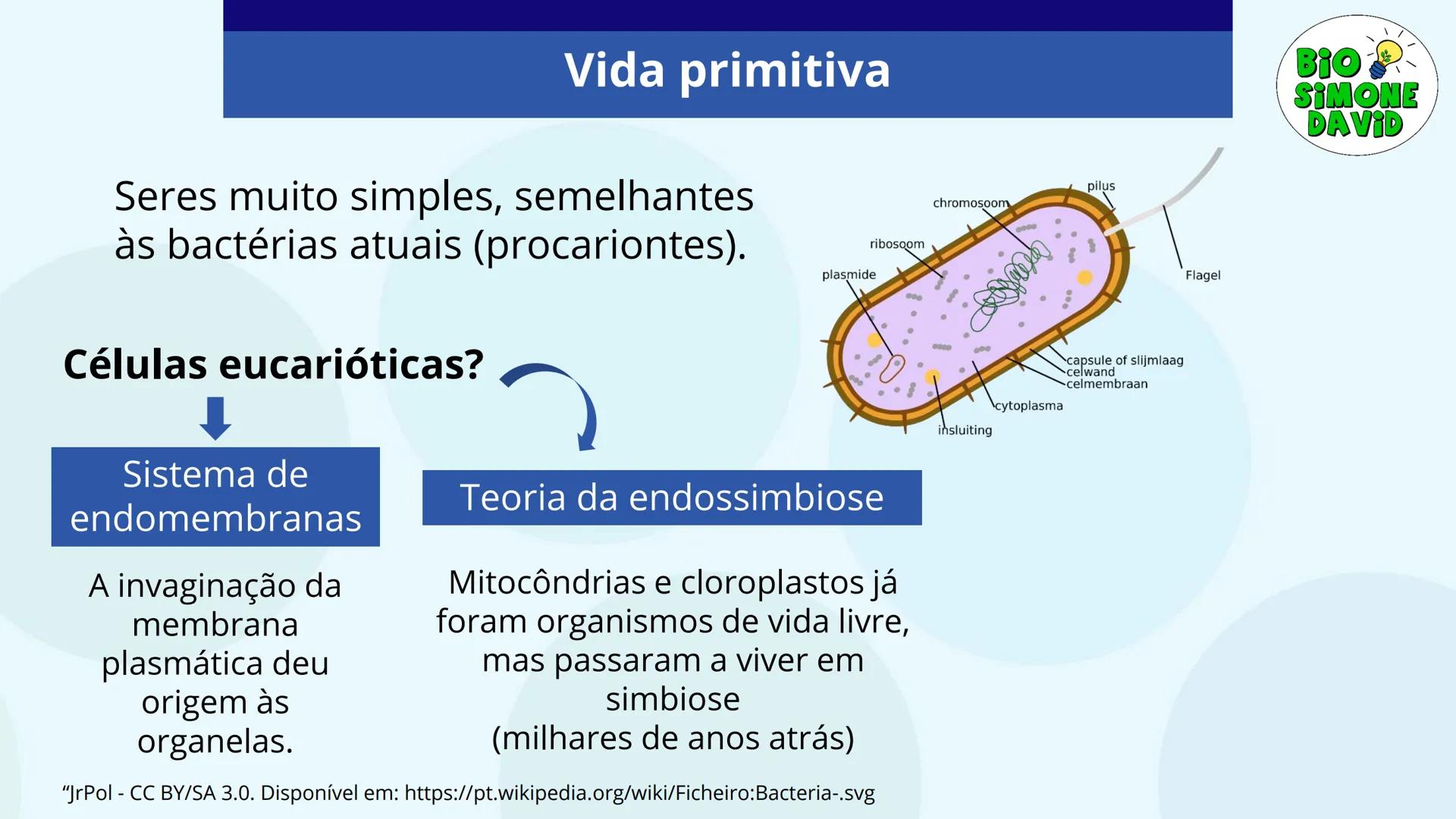 # A ORIGEM

# DA VIDA

BIO
SIMONE
DAVID

Colégio Marista Rosário
1ª série do EM # Organização do estudo
no sistema marista de
educação FTD

