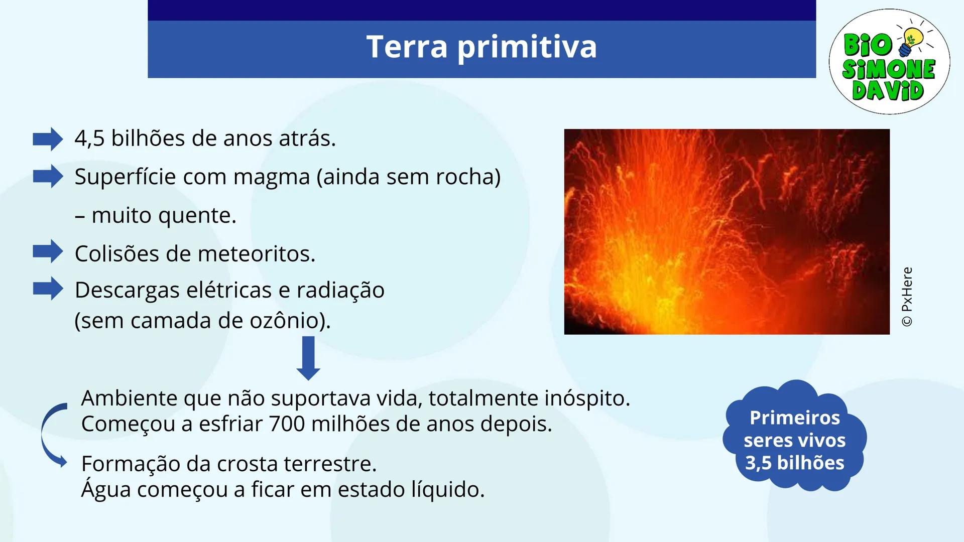# A ORIGEM

# DA VIDA

BIO
SIMONE
DAVID

Colégio Marista Rosário
1ª série do EM # Organização do estudo
no sistema marista de
educação FTD

