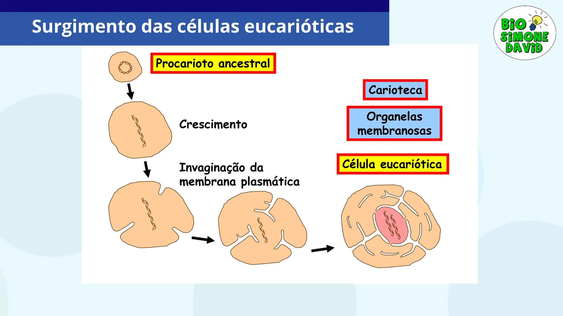 # A ORIGEM

# DA VIDA

BIO
SIMONE
DAVID

Colégio Marista Rosário
1ª série do EM # Organização do estudo
no sistema marista de
educação FTD

