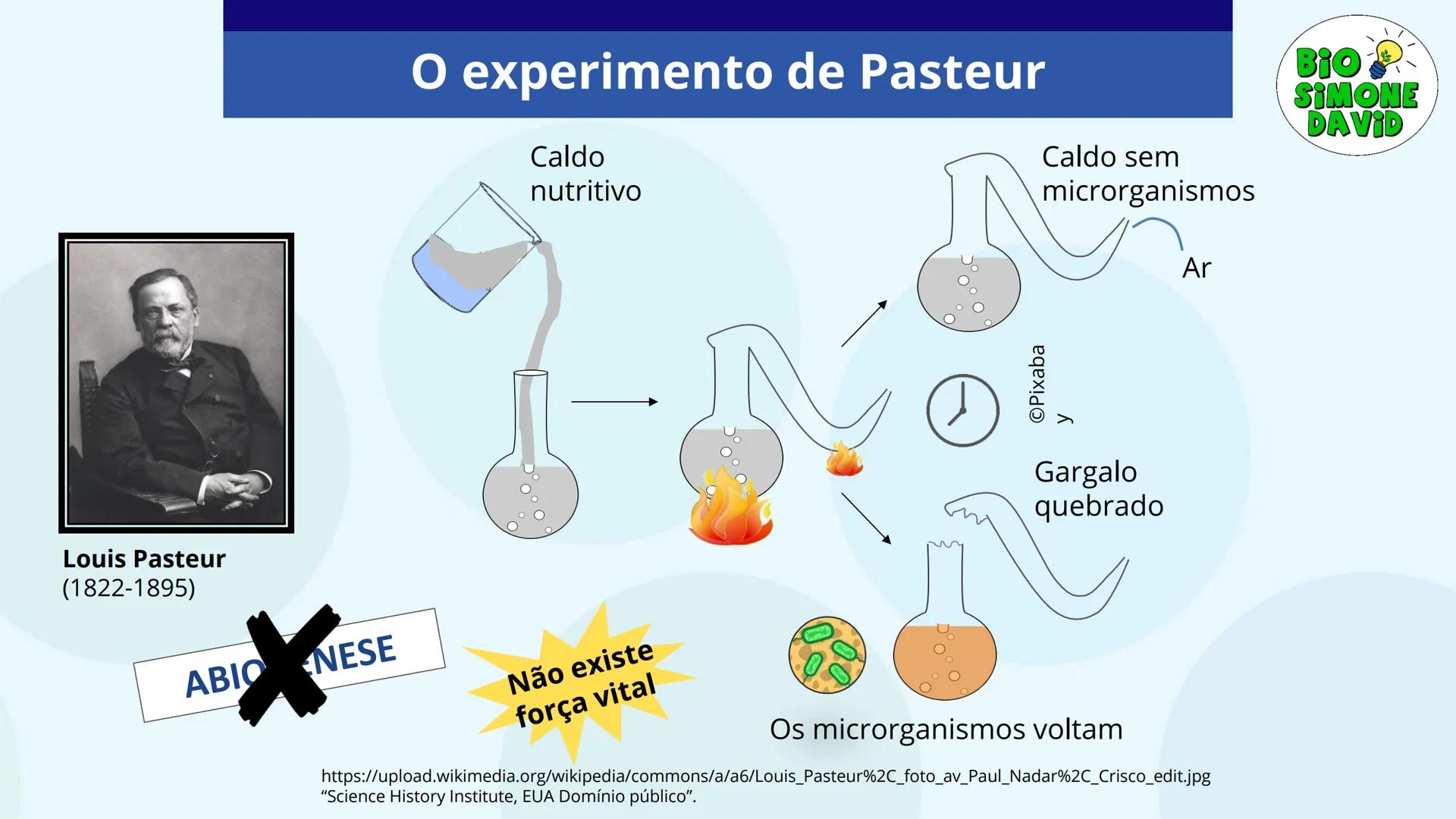 # A ORIGEM

# DA VIDA

BIO
SIMONE
DAVID

Colégio Marista Rosário
1ª série do EM # Organização do estudo
no sistema marista de
educação FTD

