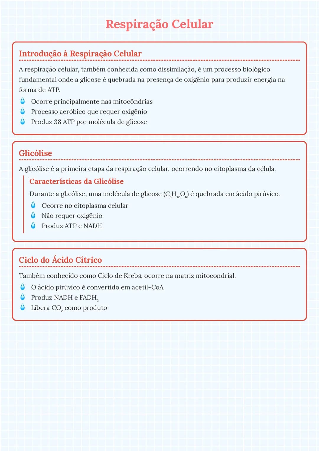 Respiração Celular