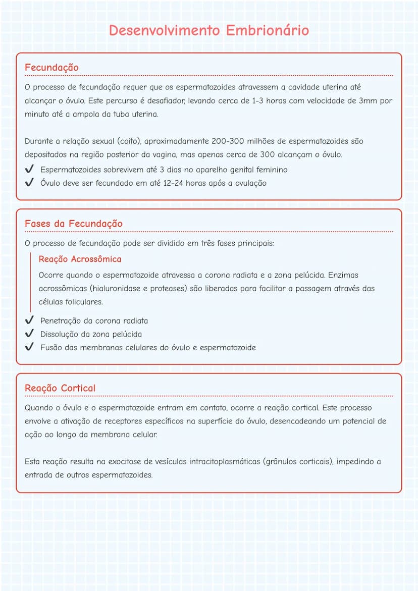 --- OCR Start ---
Desenvolvimento Embrionário
Fecundação
O processo de fecundação requer que os espermatozoides atravessem a cavidade uterin