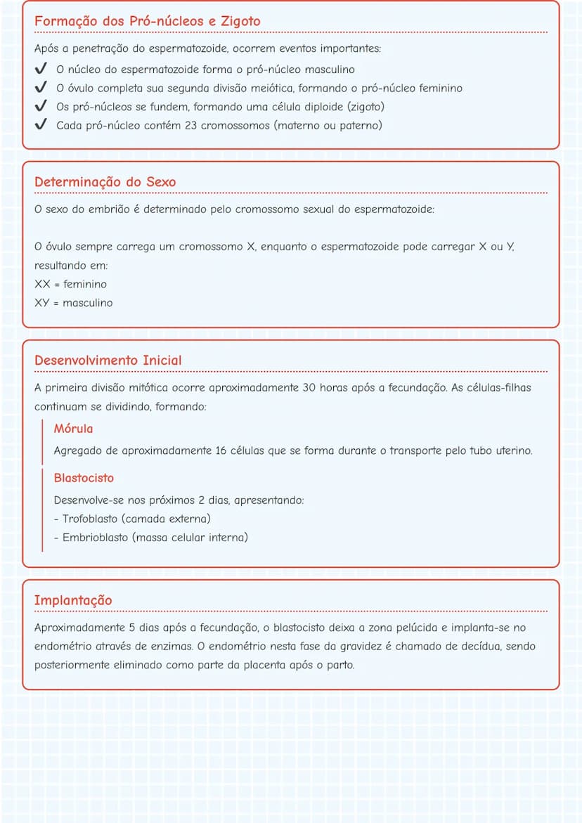 --- OCR Start ---
Desenvolvimento Embrionário
Fecundação
O processo de fecundação requer que os espermatozoides atravessem a cavidade uterin