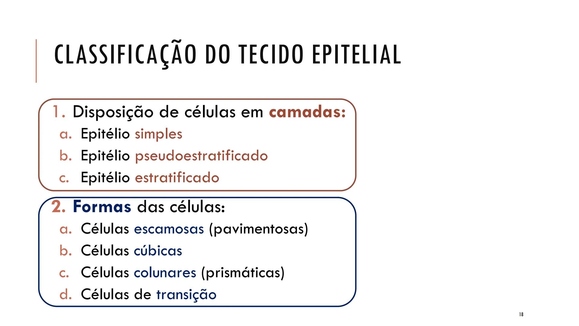 ## HISTOLOGIA

TECIDO EPITELIAL

Professora: Dra. Daniele Mota INTRODUÇÃO
■ Tecidos são conjuntos de células de forma e função
semelhantes.
