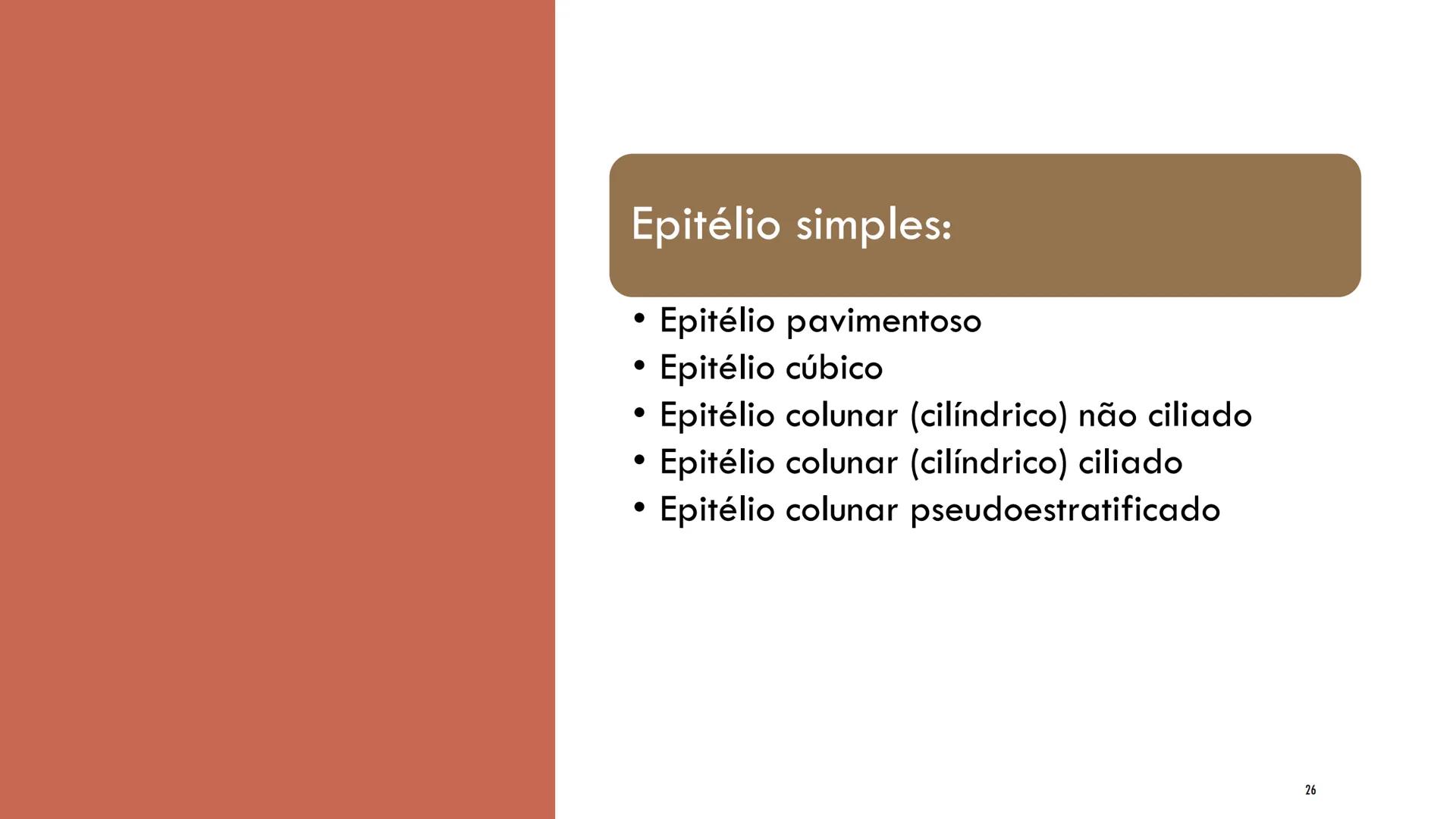 ## HISTOLOGIA

TECIDO EPITELIAL

Professora: Dra. Daniele Mota INTRODUÇÃO
■ Tecidos são conjuntos de células de forma e função
semelhantes.
