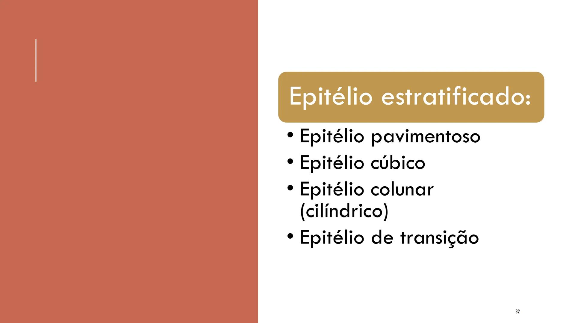 ## HISTOLOGIA

TECIDO EPITELIAL

Professora: Dra. Daniele Mota INTRODUÇÃO
■ Tecidos são conjuntos de células de forma e função
semelhantes.
