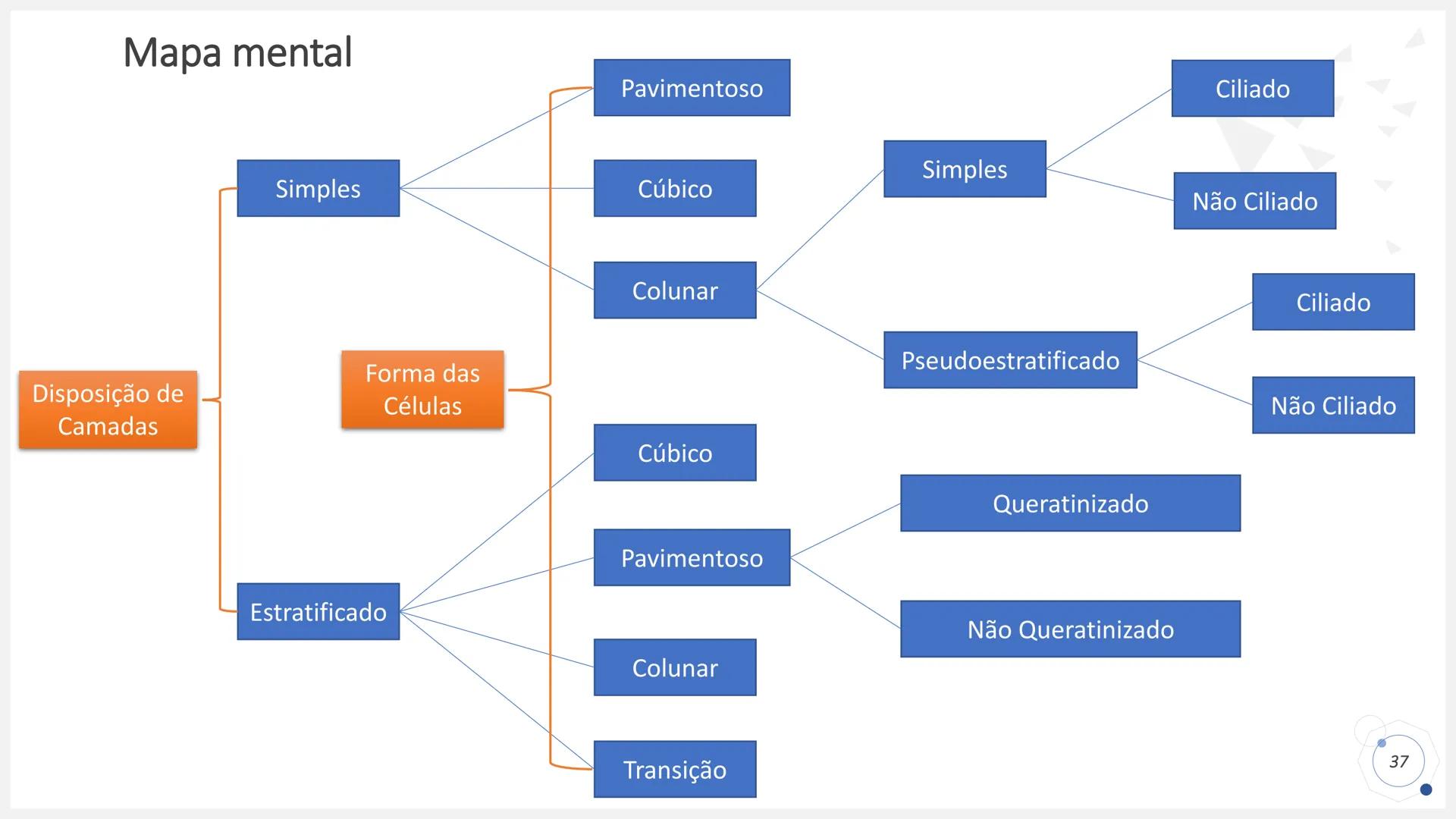 ## HISTOLOGIA

TECIDO EPITELIAL

Professora: Dra. Daniele Mota INTRODUÇÃO
■ Tecidos são conjuntos de células de forma e função
semelhantes.
