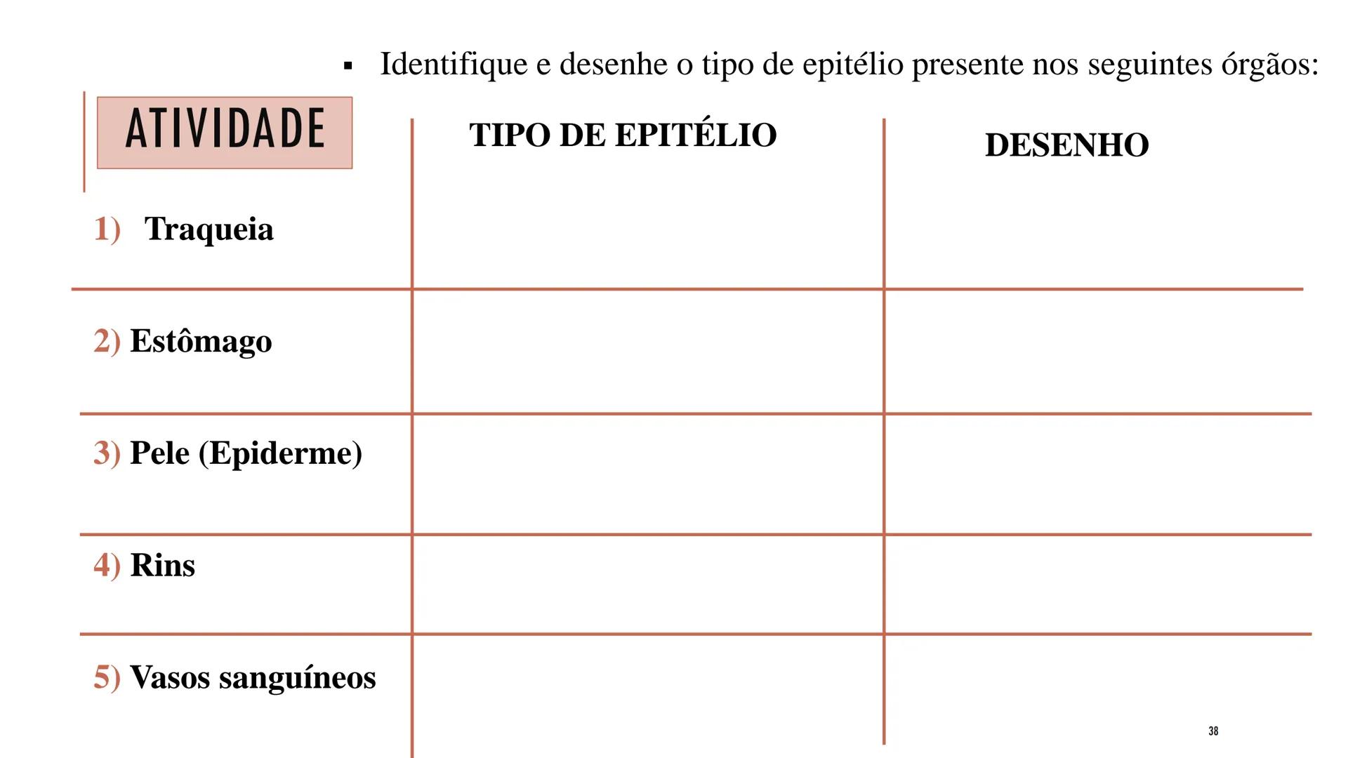 ## HISTOLOGIA

TECIDO EPITELIAL

Professora: Dra. Daniele Mota INTRODUÇÃO
■ Tecidos são conjuntos de células de forma e função
semelhantes.
