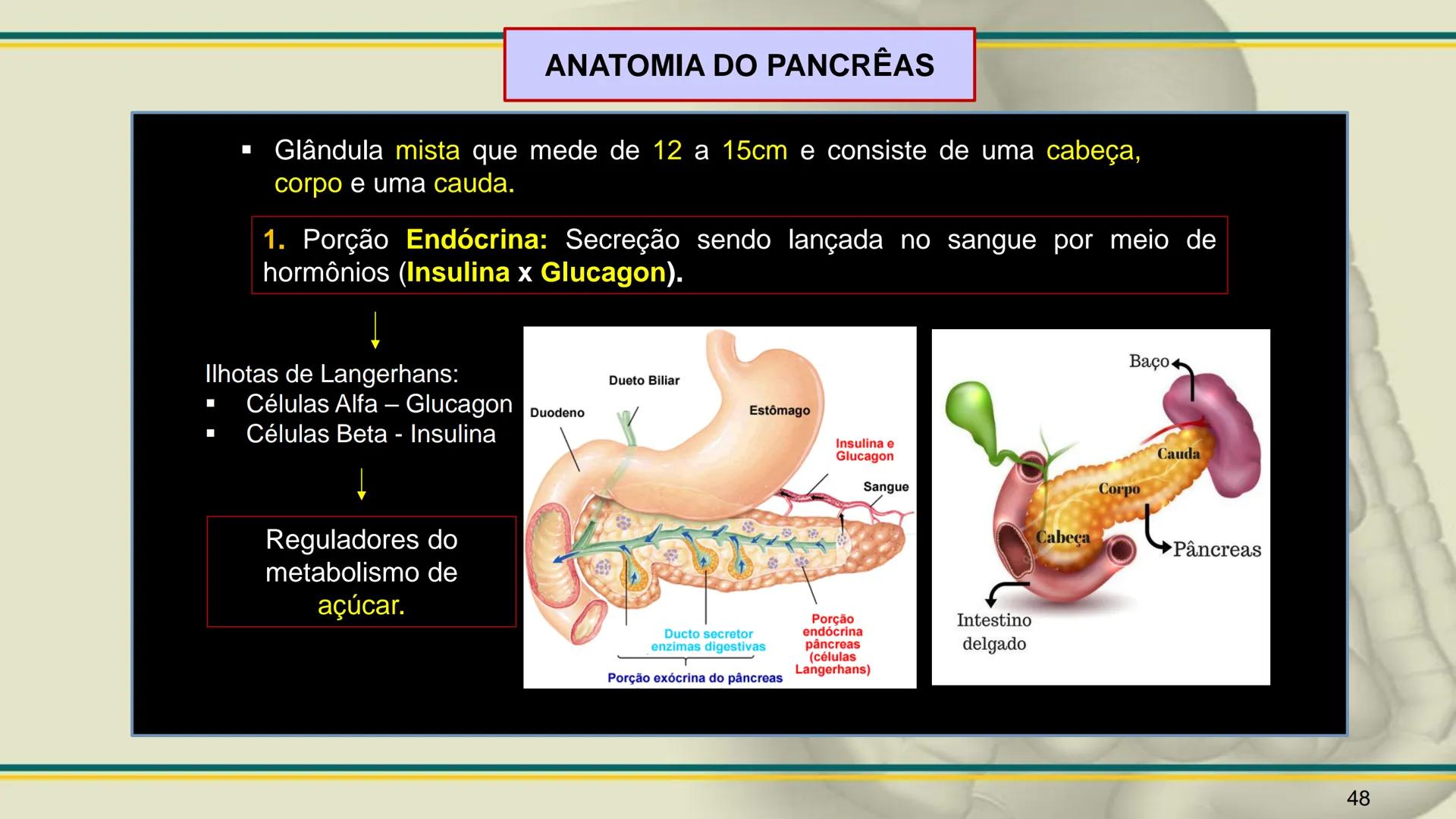 ## HISTOLOGIA

TECIDO EPITELIAL

Professora: Dra. Daniele Mota INTRODUÇÃO
■ Tecidos são conjuntos de células de forma e função
semelhantes.
