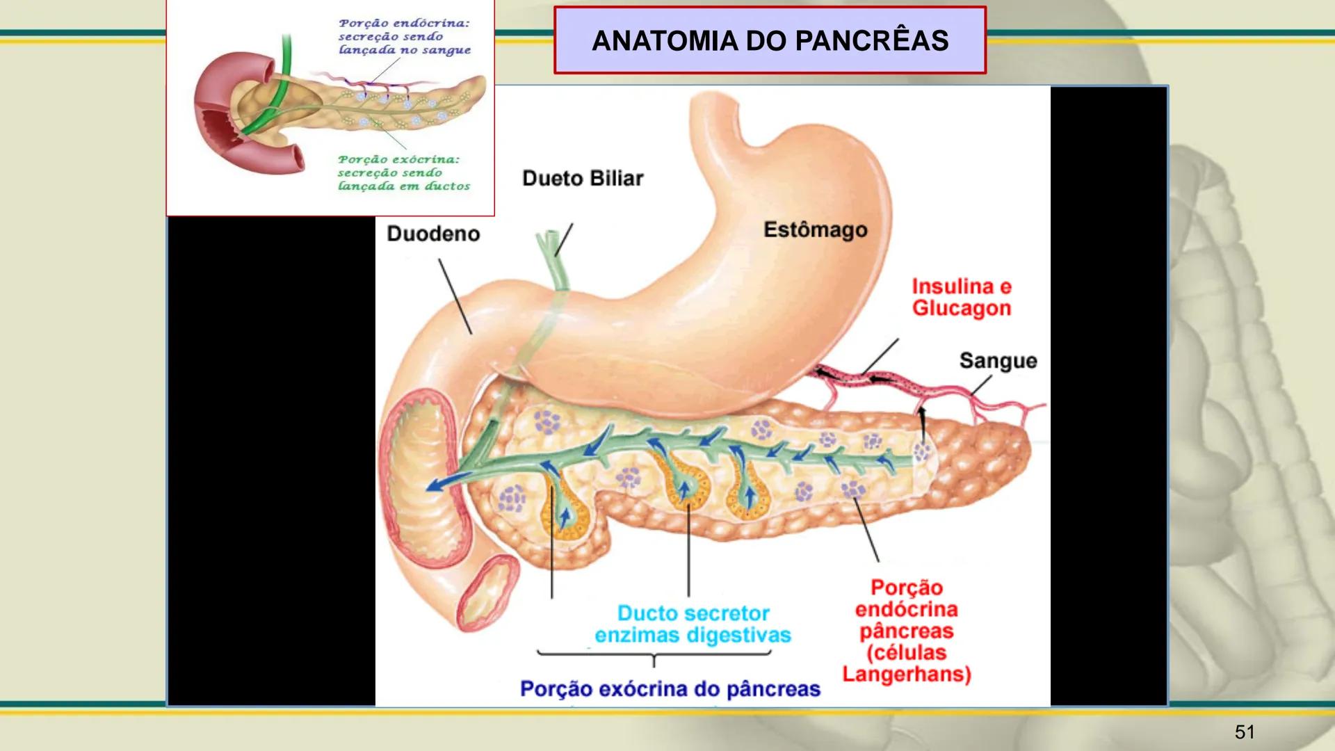 ## HISTOLOGIA

TECIDO EPITELIAL

Professora: Dra. Daniele Mota INTRODUÇÃO
■ Tecidos são conjuntos de células de forma e função
semelhantes.
