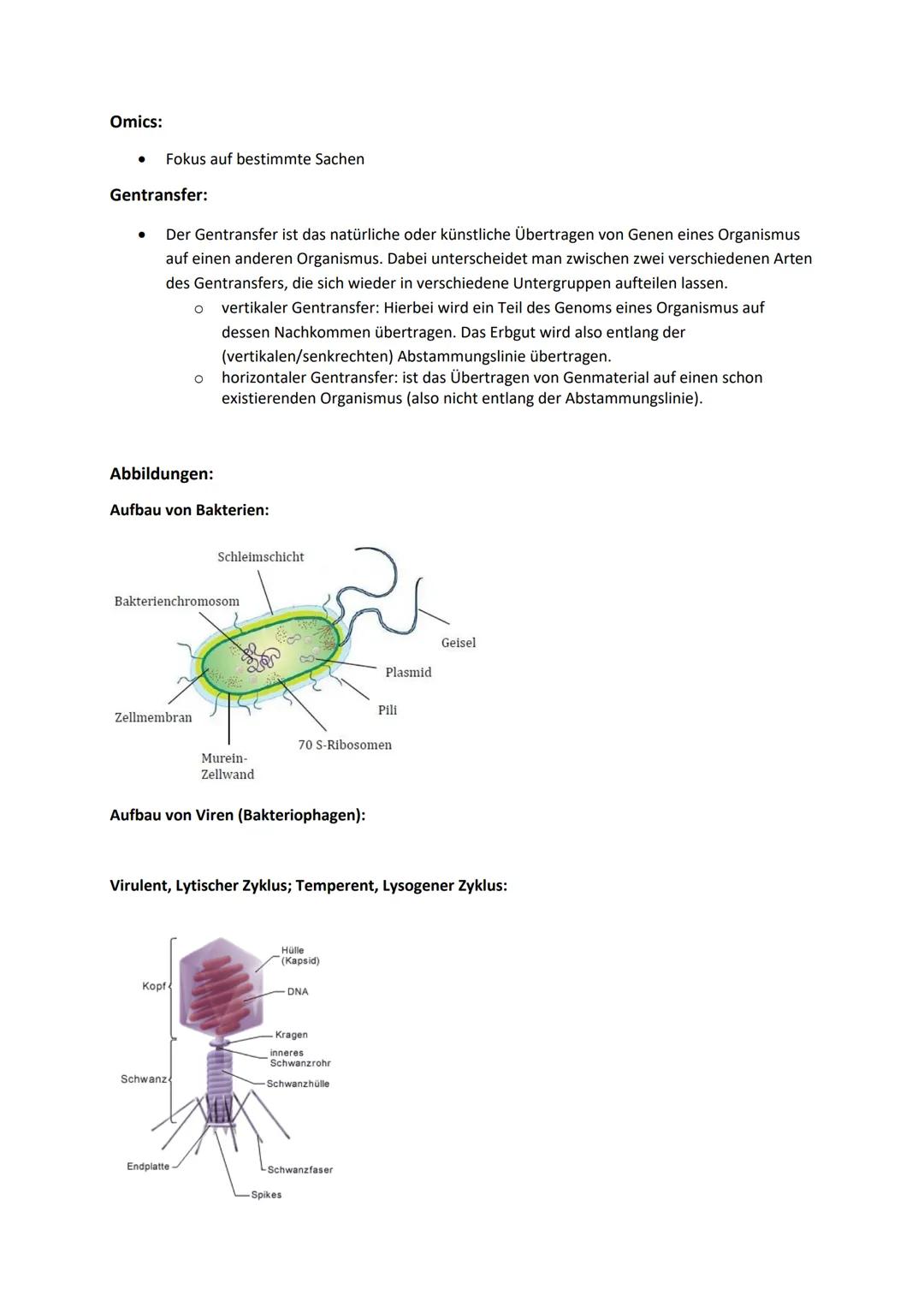 # Genetik

Begriffe Genetik:

Allel

Autosomen

Bakteriophagen

Codieren für etw.

Crossing-over

denaturieren

Dihybrider Erbgang

diploid
