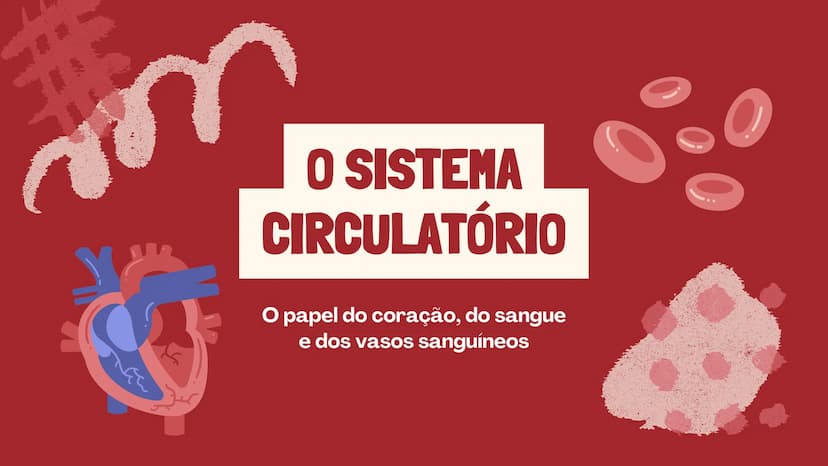 # O SISTEMA CIRCULATÓRIO

O papel do coração, do sangue e dos vasos sanguíneos QUAL É A SUA FREQUÊNCIA CARDÍACA?
Para verificar sua frequênc