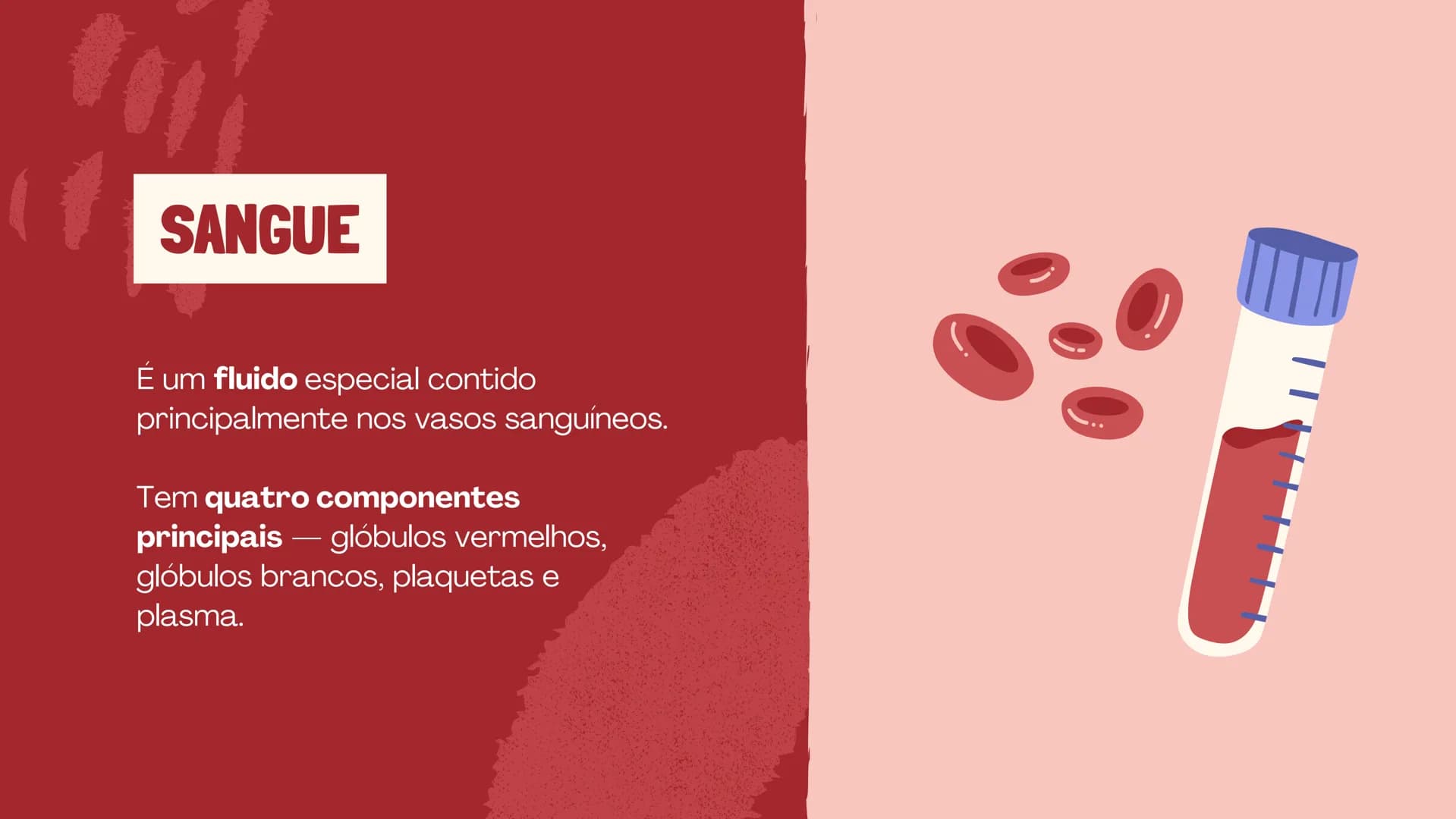 # O SISTEMA CIRCULATÓRIO

O papel do coração, do sangue e dos vasos sanguíneos QUAL É A SUA FREQUÊNCIA CARDÍACA?
Para verificar sua frequênc