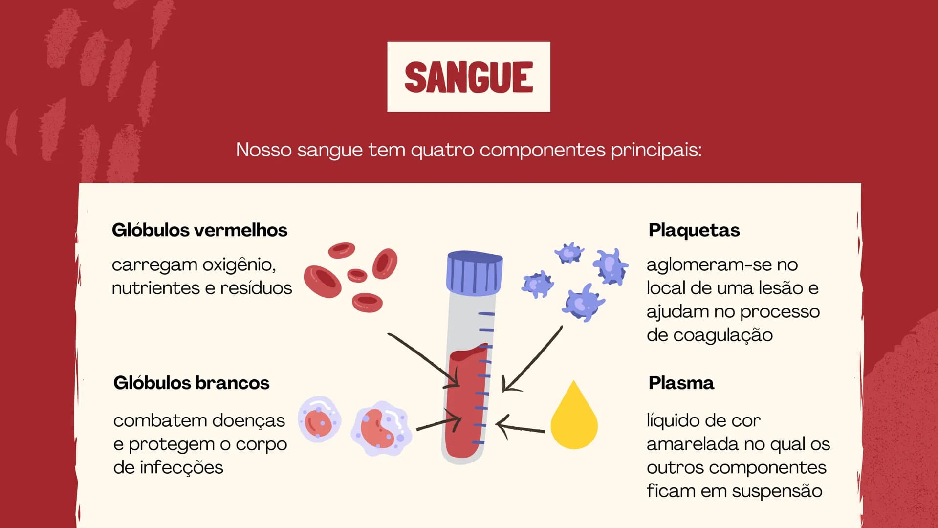 # O SISTEMA CIRCULATÓRIO

O papel do coração, do sangue e dos vasos sanguíneos QUAL É A SUA FREQUÊNCIA CARDÍACA?
Para verificar sua frequênc