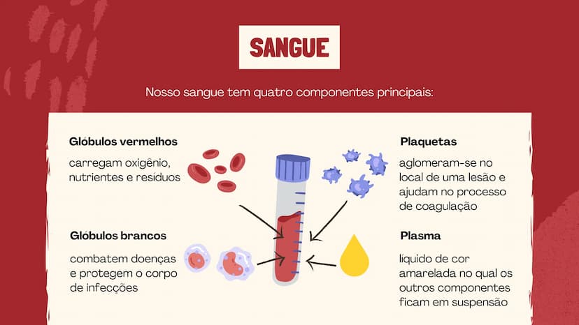 # O SISTEMA CIRCULATÓRIO

O papel do coração, do sangue e dos vasos sanguíneos QUAL É A SUA FREQUÊNCIA CARDÍACA?
Para verificar sua frequênc