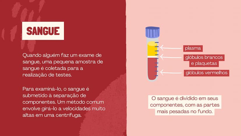 # O SISTEMA CIRCULATÓRIO

O papel do coração, do sangue e dos vasos sanguíneos QUAL É A SUA FREQUÊNCIA CARDÍACA?
Para verificar sua frequênc