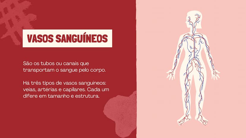 # O SISTEMA CIRCULATÓRIO

O papel do coração, do sangue e dos vasos sanguíneos QUAL É A SUA FREQUÊNCIA CARDÍACA?
Para verificar sua frequênc