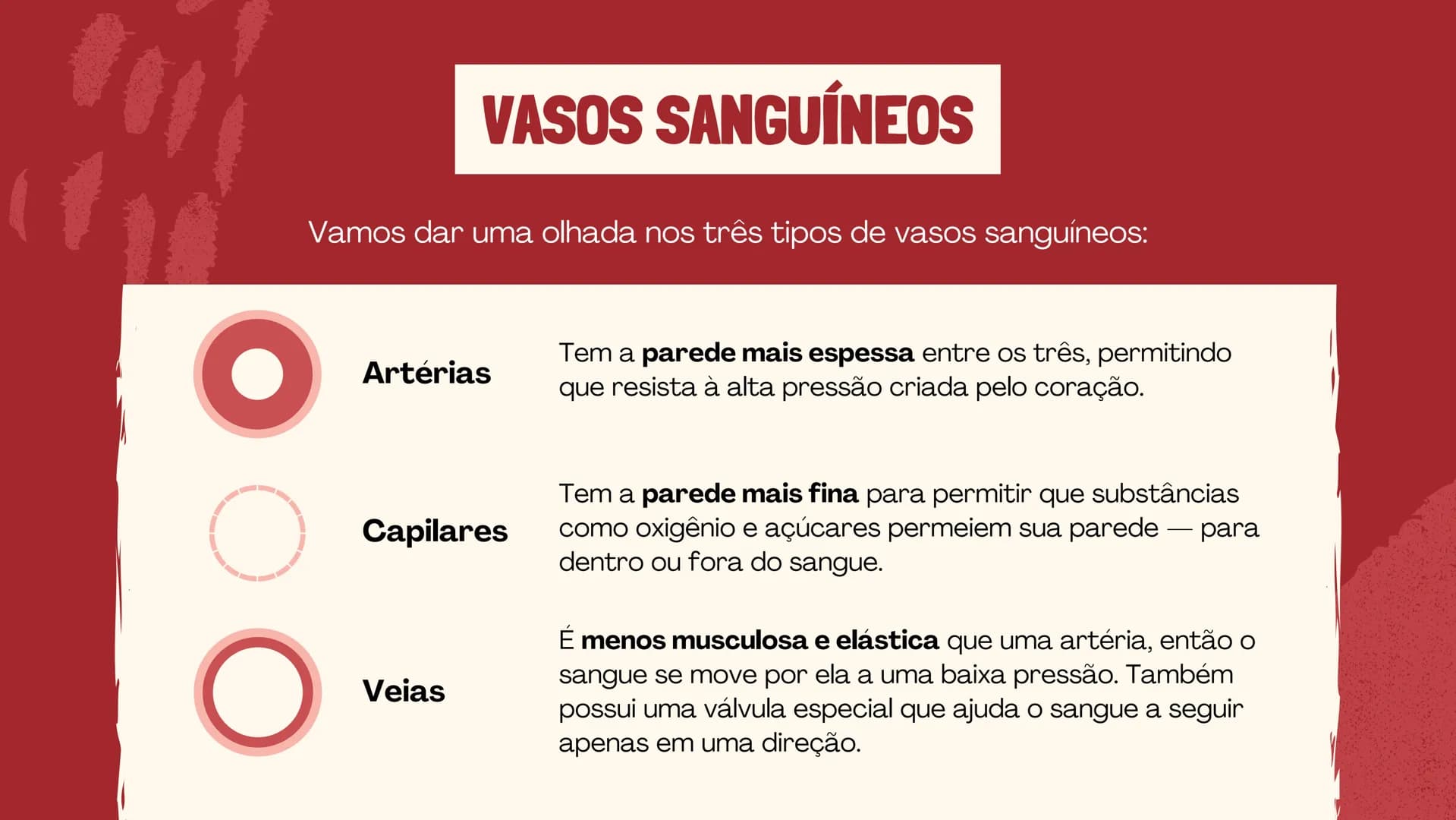 # O SISTEMA CIRCULATÓRIO

O papel do coração, do sangue e dos vasos sanguíneos QUAL É A SUA FREQUÊNCIA CARDÍACA?
Para verificar sua frequênc