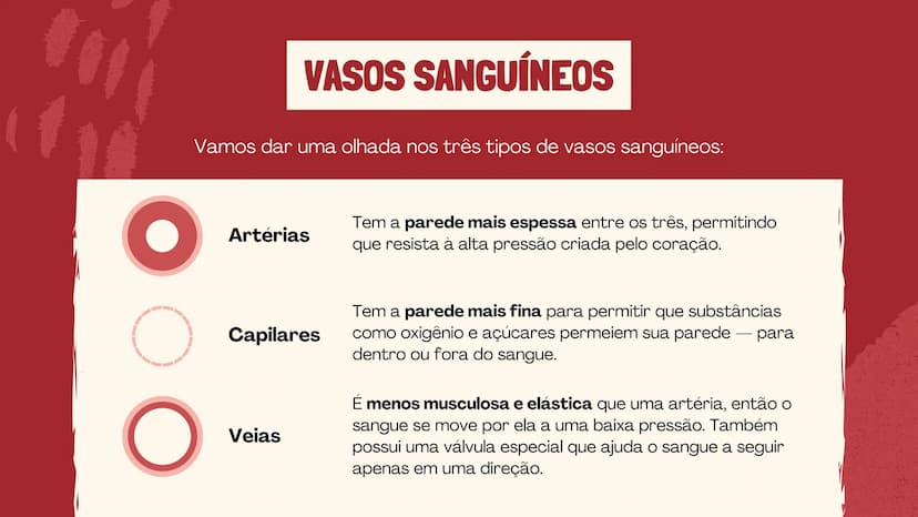 # O SISTEMA CIRCULATÓRIO

O papel do coração, do sangue e dos vasos sanguíneos QUAL É A SUA FREQUÊNCIA CARDÍACA?
Para verificar sua frequênc