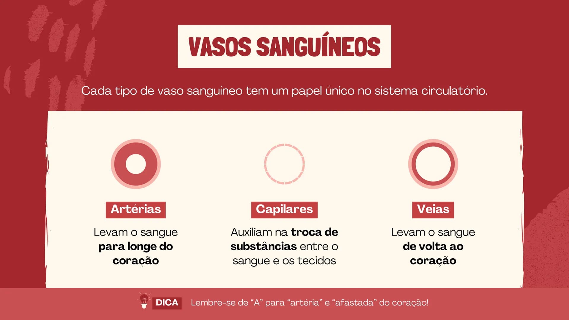 # O SISTEMA CIRCULATÓRIO

O papel do coração, do sangue e dos vasos sanguíneos QUAL É A SUA FREQUÊNCIA CARDÍACA?
Para verificar sua frequênc