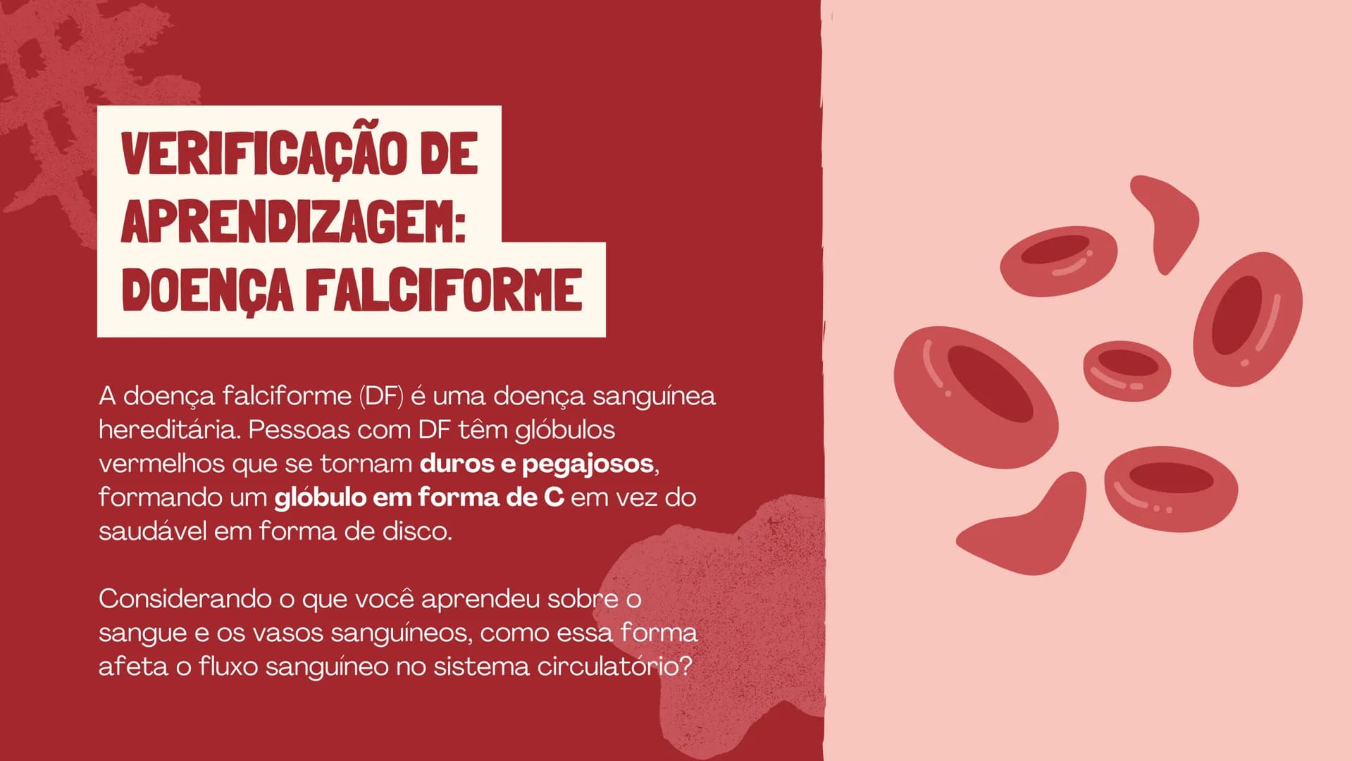 # O SISTEMA CIRCULATÓRIO

O papel do coração, do sangue e dos vasos sanguíneos QUAL É A SUA FREQUÊNCIA CARDÍACA?
Para verificar sua frequênc
