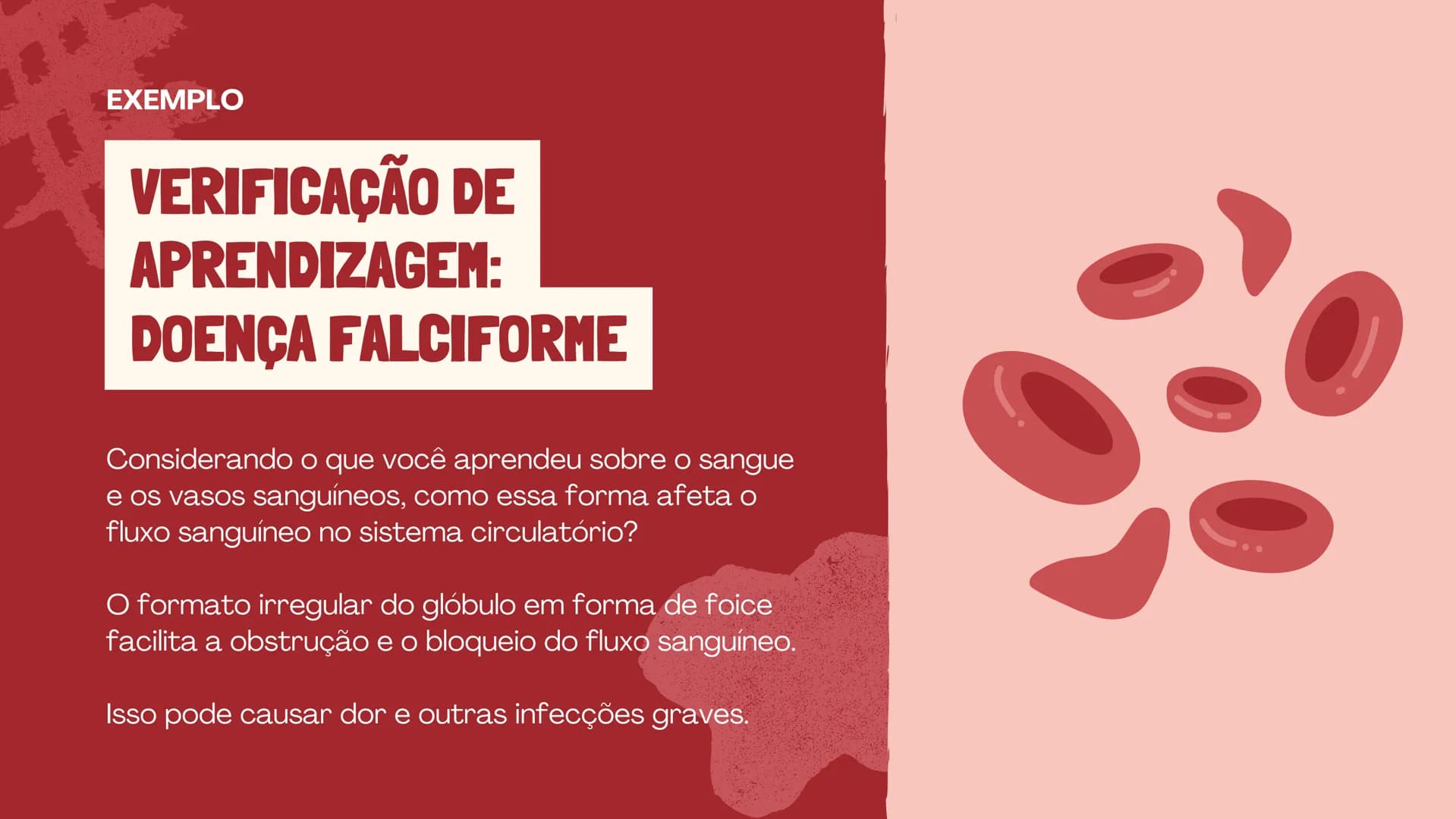 # O SISTEMA CIRCULATÓRIO

O papel do coração, do sangue e dos vasos sanguíneos QUAL É A SUA FREQUÊNCIA CARDÍACA?
Para verificar sua frequênc
