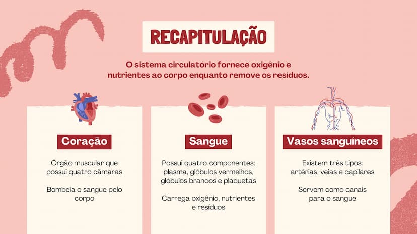 # O SISTEMA CIRCULATÓRIO

O papel do coração, do sangue e dos vasos sanguíneos QUAL É A SUA FREQUÊNCIA CARDÍACA?
Para verificar sua frequênc
