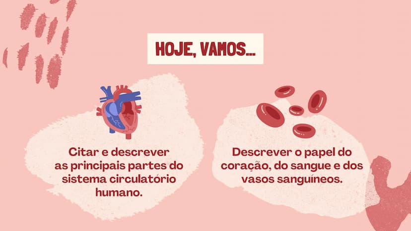 # O SISTEMA CIRCULATÓRIO

O papel do coração, do sangue e dos vasos sanguíneos QUAL É A SUA FREQUÊNCIA CARDÍACA?
Para verificar sua frequênc
