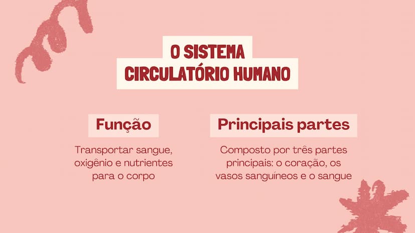 # O SISTEMA CIRCULATÓRIO

O papel do coração, do sangue e dos vasos sanguíneos QUAL É A SUA FREQUÊNCIA CARDÍACA?
Para verificar sua frequênc