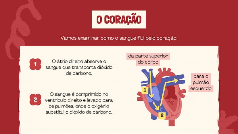 # O SISTEMA CIRCULATÓRIO

O papel do coração, do sangue e dos vasos sanguíneos QUAL É A SUA FREQUÊNCIA CARDÍACA?
Para verificar sua frequênc