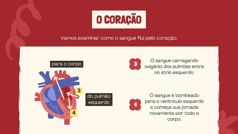 # O SISTEMA CIRCULATÓRIO

O papel do coração, do sangue e dos vasos sanguíneos QUAL É A SUA FREQUÊNCIA CARDÍACA?
Para verificar sua frequênc