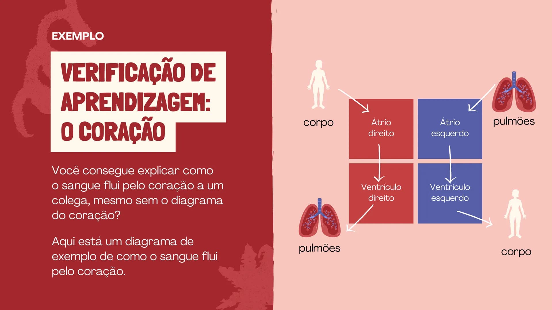 # O SISTEMA CIRCULATÓRIO

O papel do coração, do sangue e dos vasos sanguíneos QUAL É A SUA FREQUÊNCIA CARDÍACA?
Para verificar sua frequênc