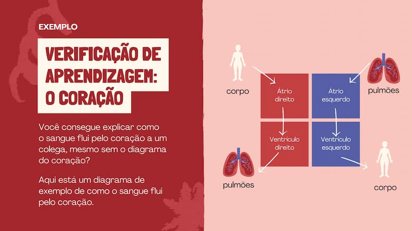 # O SISTEMA CIRCULATÓRIO

O papel do coração, do sangue e dos vasos sanguíneos QUAL É A SUA FREQUÊNCIA CARDÍACA?
Para verificar sua frequênc