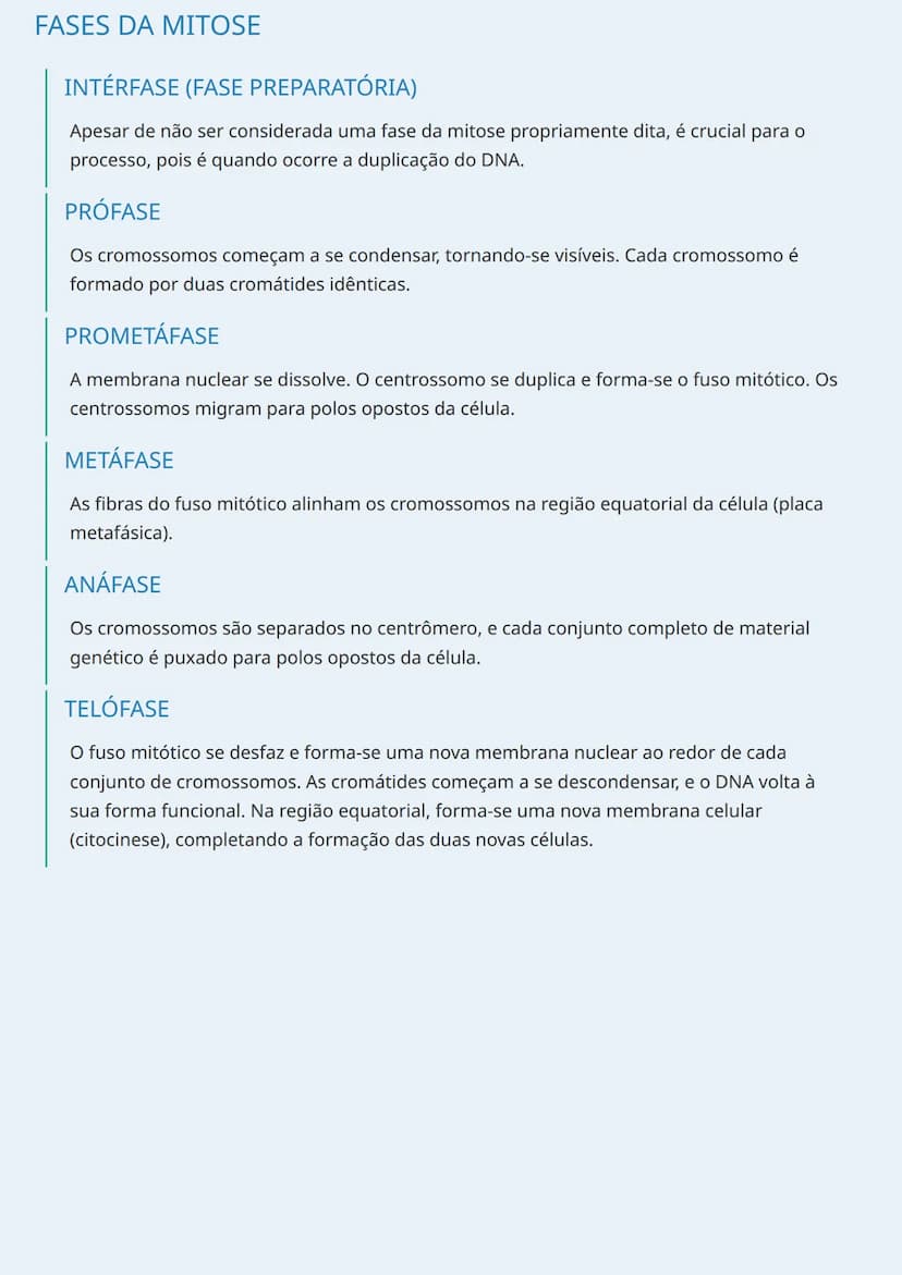 --- OCR Start ---
MITOSE - DIVISÃO CELULAR
CARACTERÍSTICAS GERAIS DA MITOSE
A mitose é um processo de divisão celular que ocorre nas células