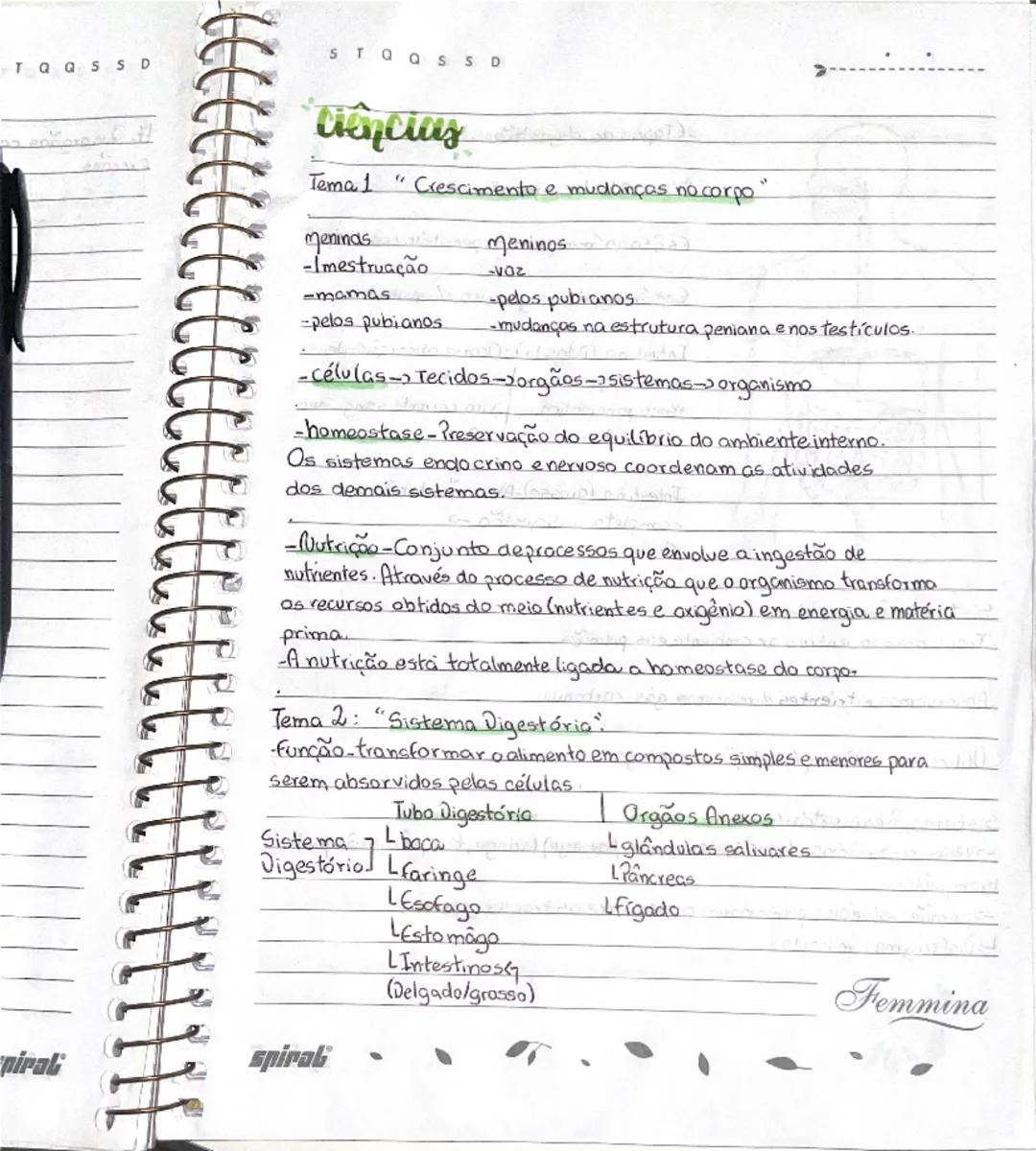 Funções e Processos dos Sistemas do Corpo Humano